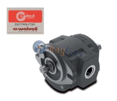 BOMBAS CUERPO ACERO DE ENGRANAJES GR.2