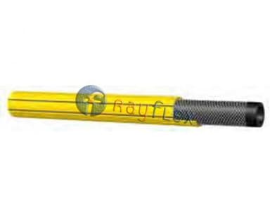 FUMIGACIÓN - 80 BAR